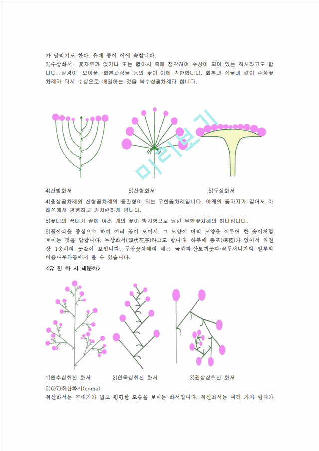 관상식물의 꽃구조 생활과원예   (3 페이지)